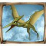 pterodaktyl – symbol automatu Dino Reels 81