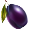 Pflaume – Symbol im Spielautomaten Fruit Awards