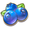 borůvky – symbol automatu Multifruit 81