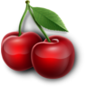 třešně – symbol automatu My Fruits 81