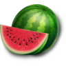 meloun – symbol automatu My Fruits 81