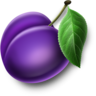 švestka – symbol automatu My Fruits 81