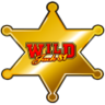 hviezda – symbol automatu Wild Jack 81